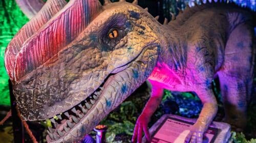 dinosafari