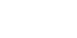 liv_logo